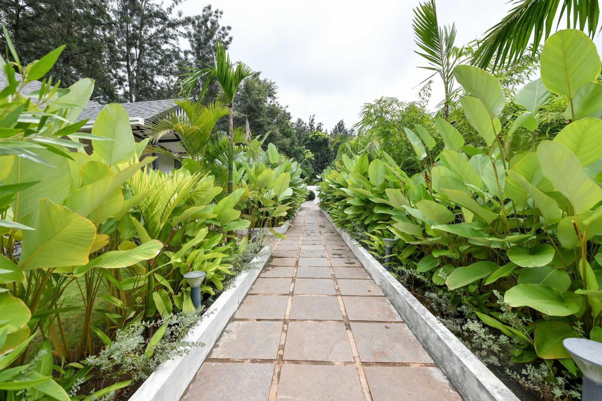 Inventree Aranya Resort & Spa Мадикери Экстерьер фото